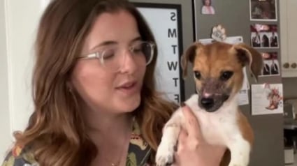 Illustration : Une jeune femme ayant dédié son quotidien aux animaux maltraités et malades a permis à 30 chiens de démarrer une autre vie