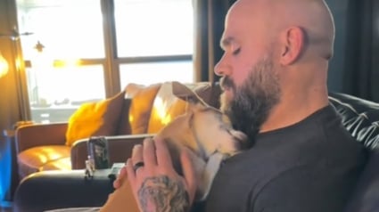 Illustration : "Elle a apporté tellement de rires et de réconfort dans nos vies", une chienne se faufile par un trou dans la clôture pour consoler ses voisins endeuillés (vidéo)