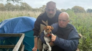Illustration : Un homme âgé et handicapé préfère vivre dans la rue que d’abandonner son chien, pas autorisé dans les logements