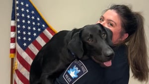 Illustration : "Des policiers décident d’offrir un toit et un métier au chien abandonné qu’ils ont sauvé "