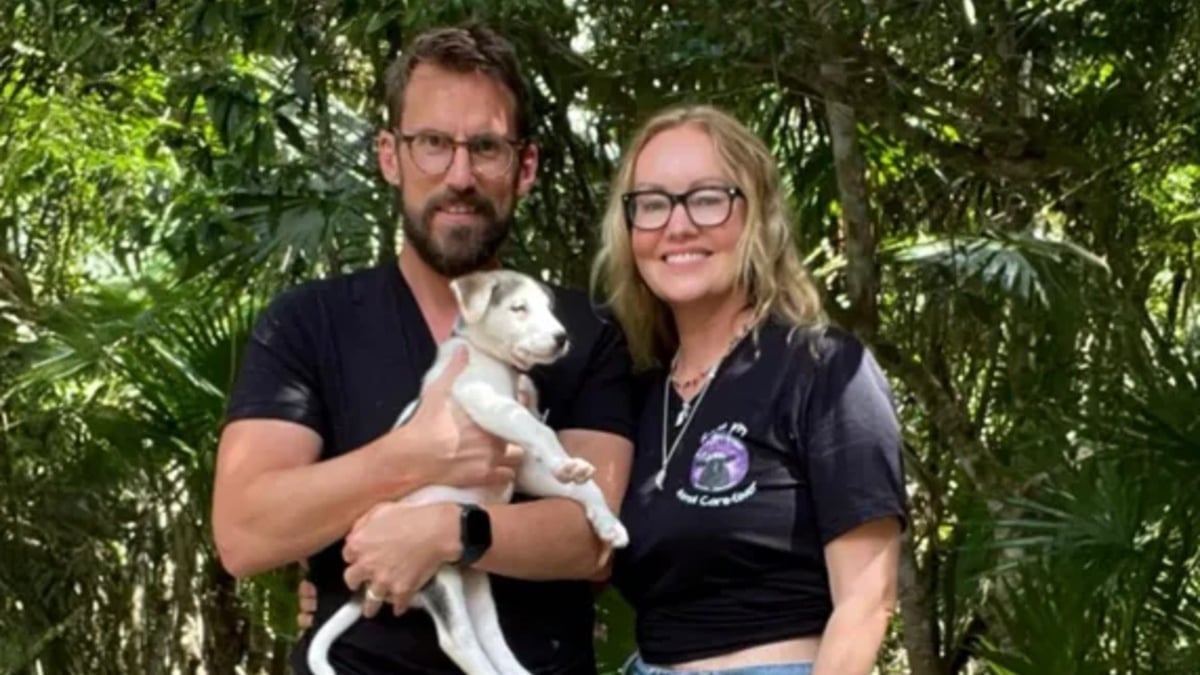 Illustration : "Après avoir sauvé un chiot au coeur de la jungle à l'étranger, ils dépensent des milliers d'euros pour le ramener chez eux et lui offrir une nouvelle vie "