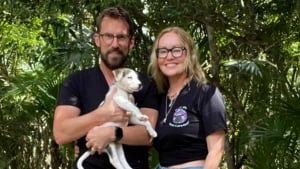 Illustration : Après avoir sauvé un chiot au coeur de la jungle à l'étranger, ils dépensent des milliers d'euros pour le ramener chez eux et lui offrir une nouvelle vie