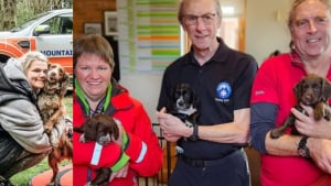 Illustration : 2 ans après avoir été secourue au pied d'une falaise, une chienne surprend ses sauveurs en leur rendant visite avec ses petits