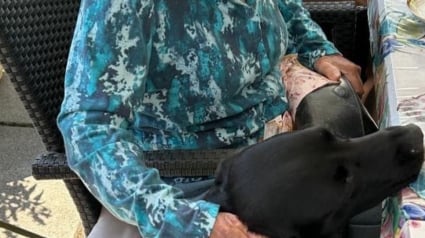 Illustration : « Dès son arrivée, il illumine vraiment la pièce », la visite fortuite d’un chien dans un EHPAD est une révélation pour le personnel 