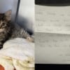 Illustration : « Ce n’est pas la bonne façon de procéder », la lettre laissée avec ce chaton malade déposé en cachette a profondément touché les bénévoles