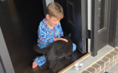 Cet enfant préférait les chiens, mais tombe instantanément amoureux du chat errant qui l’a choisi (vidéo) 