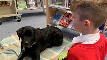 Illustration : Dans une bibliothèque, un Labrador noir accompagne les enfants pour qu’ils s’exercent à la lecture sans jugement