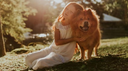 Illustration : 7 habitudes &agrave; prendre pour rendre son chien heureux