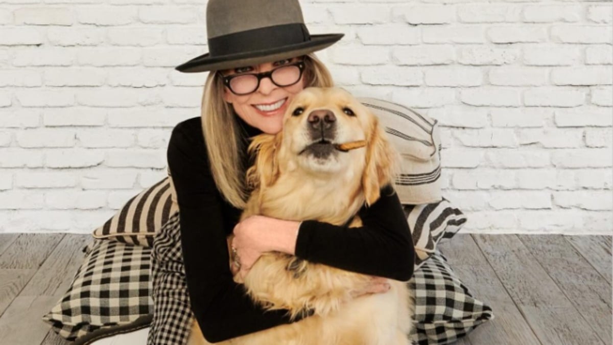Illustration : "Dans un dernier geste d'amour pour les animaux, l'actrice disparue Diane Keaton lègue une importante somme d'argent à son chien adoré et aux refuges"