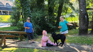 Illustration : En phase terminale, une femme trouve la force de rechercher son chien fugueur tant aimé 