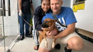 Illustration : Un couple se rend à l’autre bout du monde à 2 reprises pour secourir une chienne rencontrée en vacances 