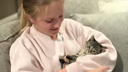Illustration : Secouru à temps, un chaton tombé à l'eau depuis un pont s'en remet courageusement et trouve une famille aimante