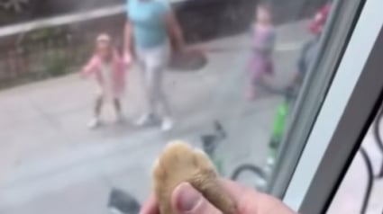 Illustration : Un chat et les enfants d’une garderie ont rendez-vous quotidiennement pour se dire bonjour (vidéo) 