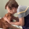 Illustration : Une jeune femme compile en vidéo les moments de tendresse touchants entre sa grand-mère et son chien