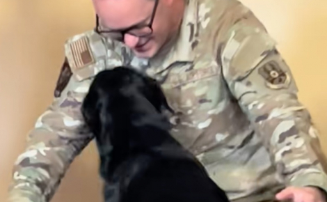 Ce chien aveugle réserve un accueil d’une tendresse infinie à son papa tout juste rentré de mission (vidéo)