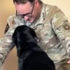 Illustration : Ce chien aveugle réserve un accueil d’une tendresse infinie à son papa tout juste rentré de mission (vidéo)