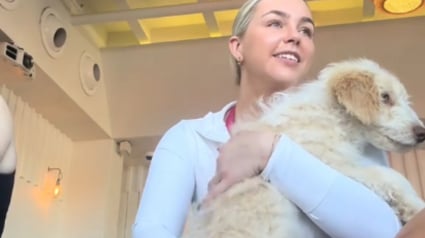 Illustration : Alors qu'elle participe à un cours de yoga pour se détendre, une femme adopte un chiot « très différent des autres »