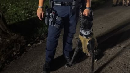 Illustration : Il pensait adopter un simple chiot, ce policier a trouvé un véritable partenaire de mission