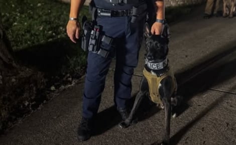 Il pensait adopter un simple chiot, ce policier a trouvé un véritable partenaire de mission