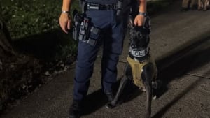 Illustration : Il pensait adopter un simple chiot, ce policier a trouvé un véritable partenaire de mission