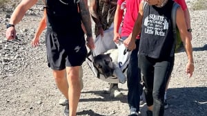 Illustration : "En pleine course en montagne, des sportifs interrompent leur épreuve pour sauver un chien à bout de forces"