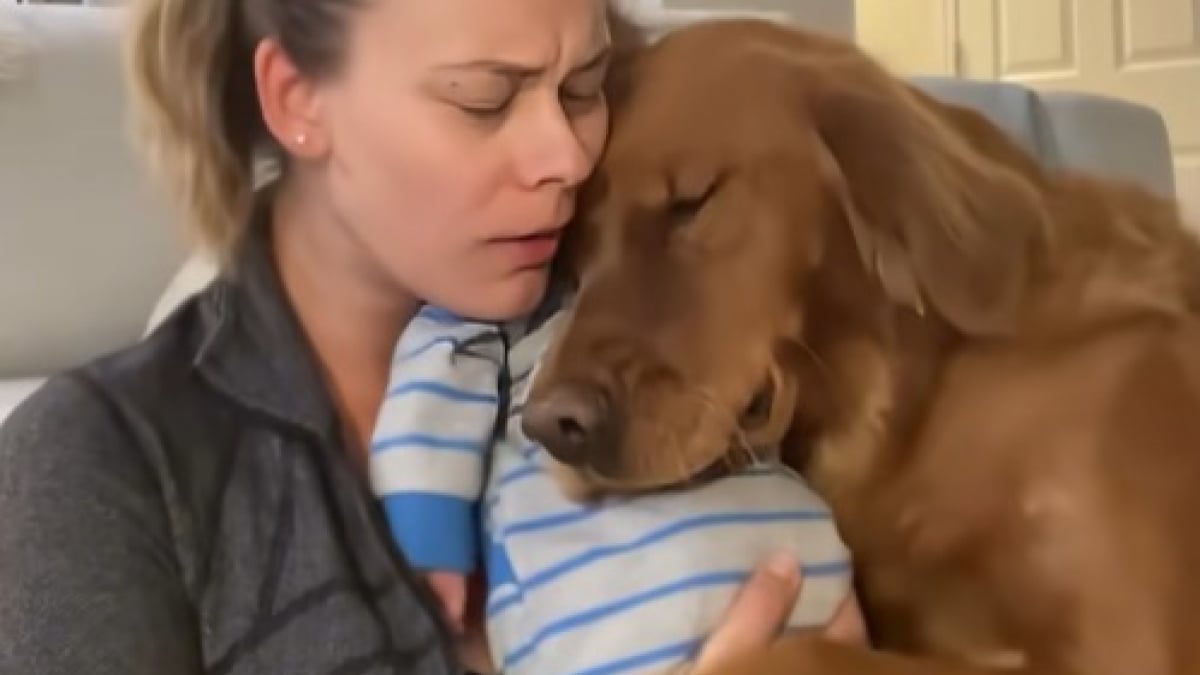 Illustration : "Ce chien a une réaction presque humaine en entendant le bébé de sa propriétaire pleurer (vidéo) "