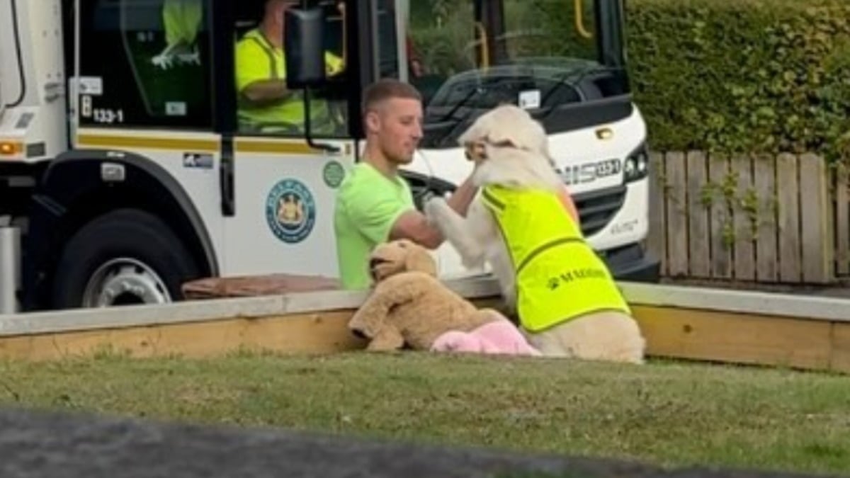 Illustration : "Chaque vendredi, cette adorable chienne attend l’arrivée de ses meilleurs amis avec grande impatience (vidéo)"