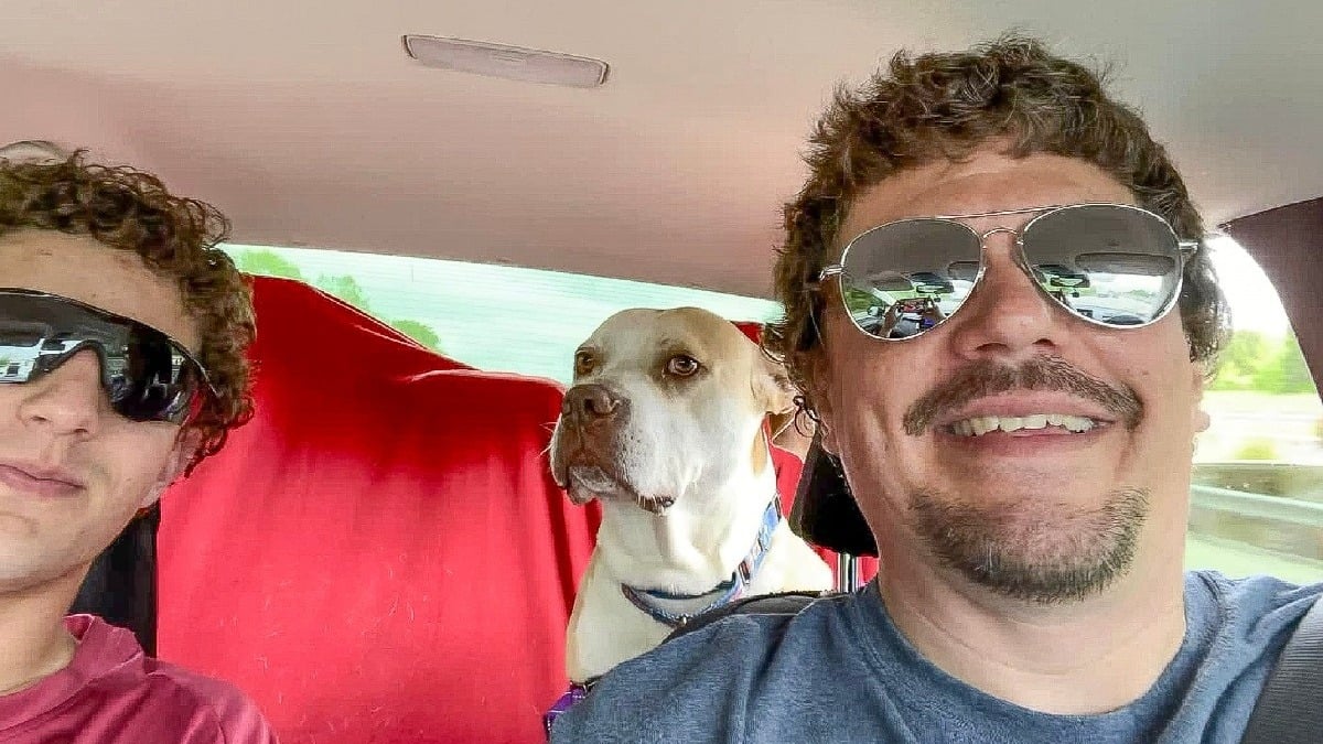 Illustration : "Un père et son fils parcourent plus de 600 kilomètres sur un malentendu pour aller voir un vieux chien de refuge qui ne parvient pas à trouver de famille"