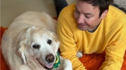 Illustration : "Le silence est si bruyant", l'animateur et humoriste Jimmy Fallon fait ses adieux à sa chienne Gary décédée à 13 ans et demi