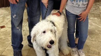 Illustration : Le v&oelig;u le plus cher d&rsquo;une fillette, soit que sa m&egrave;re malade obtienne un chien d&rsquo;assistance, est devenu r&eacute;alit&eacute;