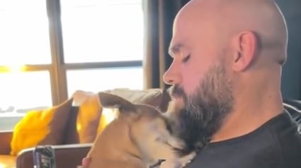 Illustration : Cette Chihuahua traverse la cl&ocirc;ture tous les jours pour passer du temps avec un voisin qu&rsquo;elle consid&egrave;re comme sa deuxi&egrave;me famille (vid&eacute;o)