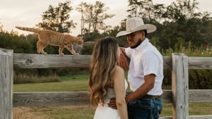 Illustration : Ce chat s’invite à une séance photo de fiançailles et vole la vedette au couple