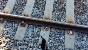 Illustration : "Un chaton inconscient du danger erre sur des rails de train, des bienfaiteurs ont 5 minutes pour le sauver (vidéo) "