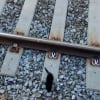 Illustration : Un chaton inconscient du danger erre sur des rails de train, des bienfaiteurs ont 5 minutes pour le sauver (vidéo) 