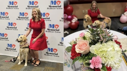 Illustration : Plongée dans le coma, une femme reprend conscience grâce à un chien de thérapie