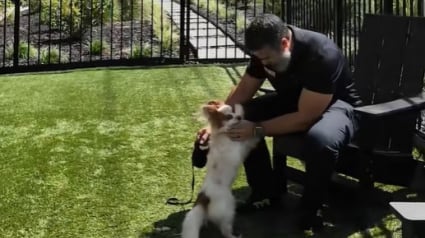 Illustration : Un propriétaire apprend que sa locataire est hospitalisée, il s’empresse d’aller aider le chien de cette dernière, resté seul pendant des jours 