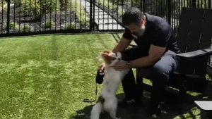 Illustration : Un propriétaire apprend que sa locataire est hospitalisée, il s’empresse d’aller aider le chien de cette dernière, resté seul pendant des jours 