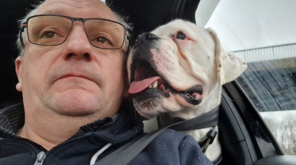 Illustration : Grand amoureux des chiens, cet homme parcourt des kilomètres chaque week-end pour transporter des chiens de refuge vers leurs familles