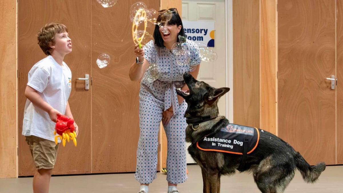 Illustration : "Grâce à l’amitié indéfectible de son chien, ce petit garçon autiste apprend à surmonter ses difficultés avec courage (vidéo)"