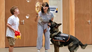 Illustration : Grâce à l’amitié indéfectible de son chien, ce petit garçon autiste apprend à surmonter ses difficultés avec courage (vidéo)