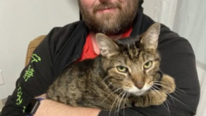 Illustration : Son chat disparaît dans sa chambre d’hôtel, il reçoit un coup de fil déroutant quelques mois plus tard 