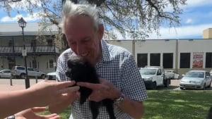 Illustration : Fébrile avant la rencontre, ce grand-père réalise le rêve de sa vie en adoptant un adorable Loulou de Poméranie (vidéo)