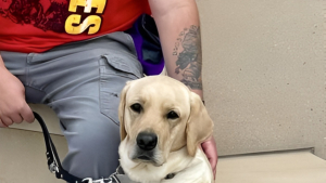 Illustration : Les aboiements et coups de patte d'un chien sauvent la vie d'un militaire à la retraite ignorant qu'il était sur le point de faire un malaise