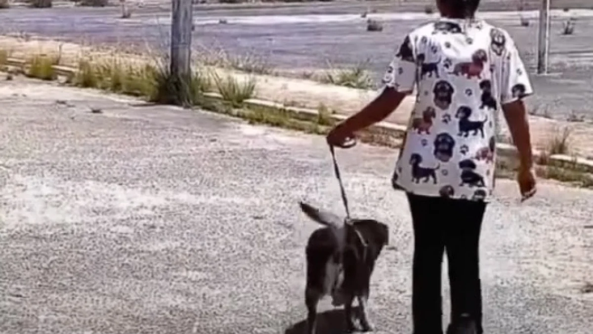 Illustration : "« Un moment que nous n’oublierons jamais », après 5 années loin l’un de l’autre, cet homme et son chien se retrouvent enfin"