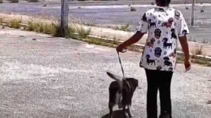 Illustration : &laquo; Un moment que nous n&rsquo;oublierons jamais &raquo;, apr&egrave;s 5 ann&eacute;es loin l&rsquo;un de l&rsquo;autre, cet homme et son chien se retrouvent enfin