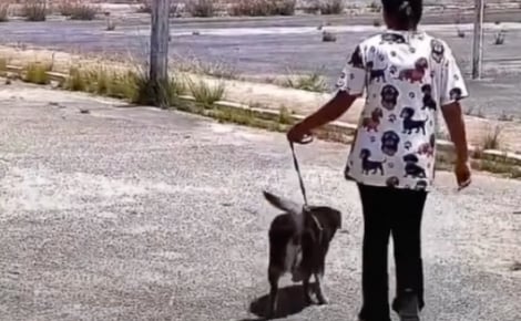 « Un moment que nous n’oublierons jamais », après 5 années loin l’un de l’autre, cet homme et son chien se retrouvent enfin