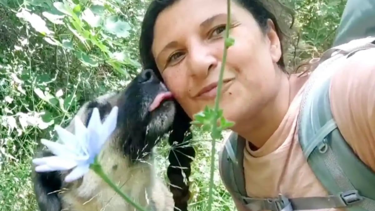Illustration : "« Sa simple présence m'a redonné la force et l'envie de renouer avec les autres », un chien errant redonne goût au lien social à une randonneuse solitaire"