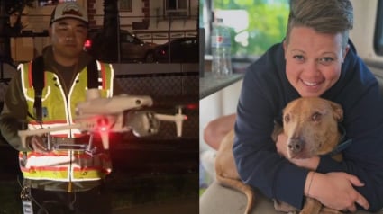 Illustration : La famille d'un chien disparu dans la nature place ses ultimes espoirs entre les mains d'un opérateur de drone expérimenté et déterminé