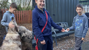 Illustration : Un garçon au grand coeur décide d'offrir l'argent de son anniversaire au refuge local et rencontre les chiens qui y vivent