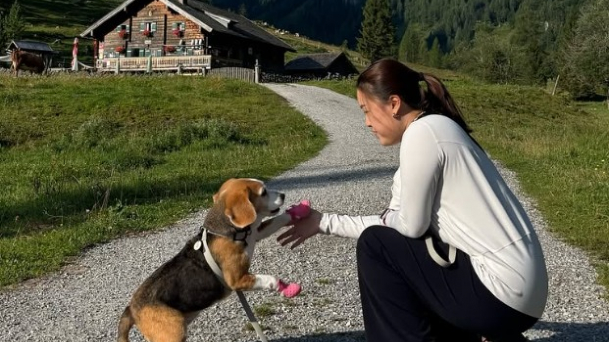 Illustration : "Le pari fou d’un couple, qui économise pendant près de 10 ans et planifie un long voyage avec son chien"